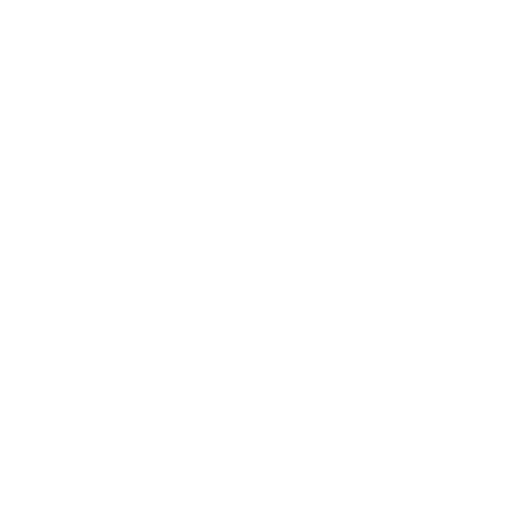 A minimalistic badge representing the IN 999 Game Login Guide.
